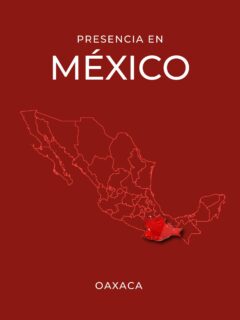 En Oaxaca, nuestra participación se enfoca en desarrollar proyectos que responden al contexto cultural, urbano y territorial de la región 🏗️📐
Cada intervención se basa en planeación técnica, coordinación BIM y ejecución precisa, aportando soluciones alineadas a las necesidades actuales y al crecimiento del estado.

#Basort #Oaxaca #México #Ingeniería #Arquitectura #BIMMéxico #Construcción #Infraestructura #Proyectos