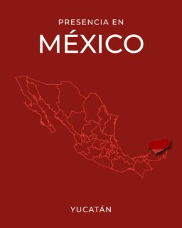 Nuestra presencia en Yucatán refleja el crecimiento de Basort y nuestra capacidad para desarrollar proyectos en distintos contextos del país. 🇲🇽📐 Ingeniería, coordinación BIM y experiencia para responder a las necesidades de cada proyecto. 🏗️

#Basort #Yucatán #Mérida #Ingeniería #Arquitectura #BIM #BIMMéxico #Construcción #ArquitecturaMéxico #IngenieríaBIM #IndustriaAEC #Proyectos #Infraestructura #DiseñoArquitectónico